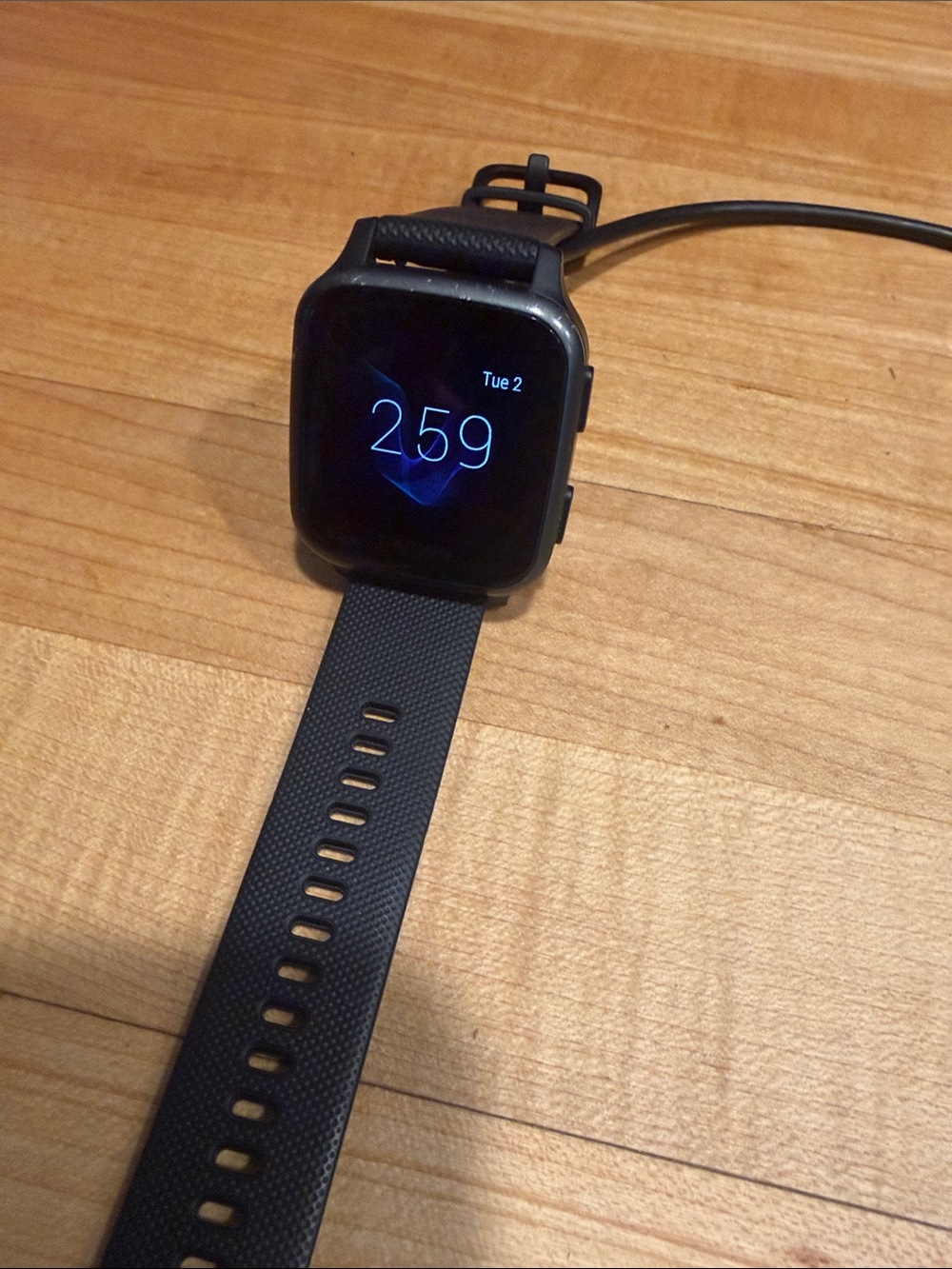 Garmin GPS watch